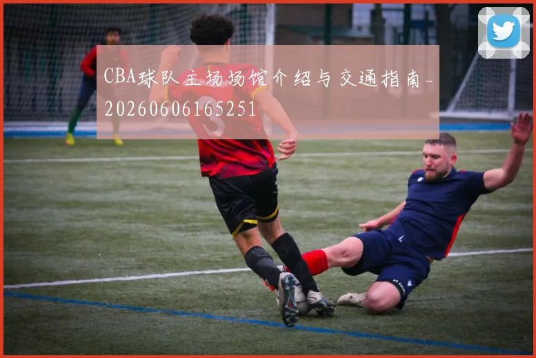 CBA球队主场场馆介绍与交通指南_20260606165251