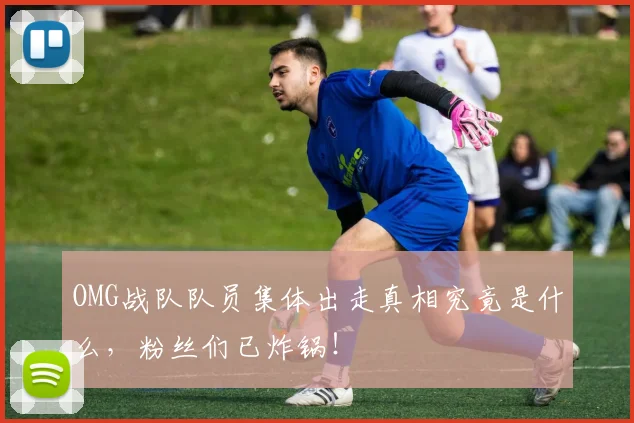 OMG战队队员集体出走真相究竟是什么,粉丝们已炸锅!
