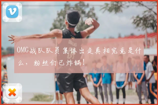 OMG战队队员集体出走真相究竟是什么,粉丝们已炸锅!